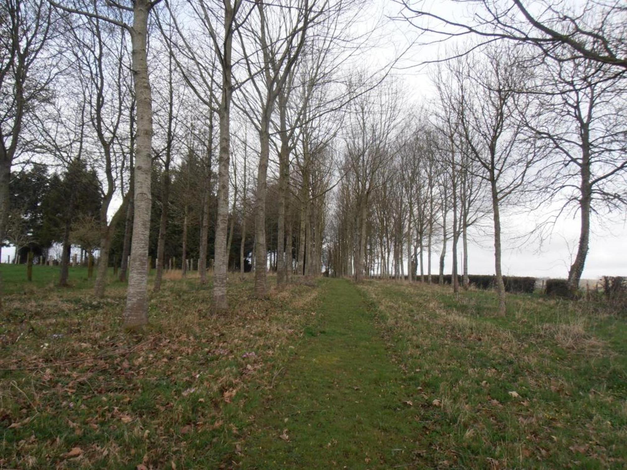 Maison De Charme Avec Grand Jardin, Proche Haras Du Pin, Animaux Acceptes, Ideale Pour Familles - Fr-1-497-5 Saint-Pierre-la-Riviere Eksteriør bilde